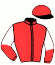casaque portée par Raffin E. jockey du cheval de course GIANT DESIGN, information pmu ZETURF casaque portée par Raffin E. jockey du cheval de course GIANT DESIGN, information pmu ZETURF