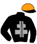 casaque portée par Peltier Tha. jockey du cheval de course GIBALDI DE HOUELLE, information pmu ZETURF