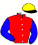 casaque portée par Duvaldestin Theo jockey du cheval de course JE TE CHERCHE, information pmu ZETURF casaque portée par Duvaldestin Theo jockey du cheval de course JE TE CHERCHE, information pmu ZETURF