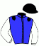casaque portée par Walter Mme R. jockey du cheval de course MIREIJE CHARISMA, information pmu ZETURF