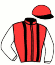 casaque portée par Hauber Mar. jockey du cheval de course NICOLAS MATISSE, information pmu ZETURF casaque portée par Hauber Mar. jockey du cheval de course NICOLAS MATISSE, information pmu ZETURF
