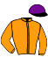 casaque portée par Lagadeuc F. jockey du cheval de course JACOBSON, information pmu ZETURF casaque portée par Lagadeuc F. jockey du cheval de course JACOBSON, information pmu ZETURF