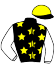 casaque portée par Angot A. jockey du cheval de course JOKER DE FROULAY, information pmu ZETURF casaque portée par Angot A. jockey du cheval de course JOKER DE FROULAY, information pmu ZETURF