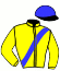 casaque portée par Lamy A. jockey du cheval de course L'AIGLE PASS, information pmu ZETURF casaque portée par Lamy A. jockey du cheval de course L'AIGLE PASS, information pmu ZETURF