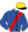 casaque portée par Bazire N. jockey du cheval de course HULKEN SISU, information pmu ZETURF casaque portée par Bazire N. jockey du cheval de course HULKEN SISU, information pmu ZETURF
