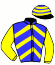 casaque portée par Ernault S. jockey du cheval de course JIPET DE CREPIN, information pmu ZETURF casaque portée par Ernault S. jockey du cheval de course JIPET DE CREPIN, information pmu ZETURF