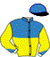 casaque portée par Bazire J. M. jockey du cheval de course DAUPHIN JOYEUSE, information pmu ZETURF casaque portée par Bazire J. M. jockey du cheval de course DAUPHIN JOYEUSE, information pmu ZETURF