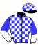 casaque portée par Mottier Ch. jockey du cheval de course HERMES PLANCHETTE, information pmu ZETURF