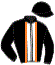 casaque portée par Thomain D. jockey du cheval de course REVEN DEJAVU, information pmu ZETURF