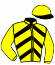 casaque portée par Piton J. Ch. jockey du cheval de course KID DE GRATTIERES, information pmu ZETURF