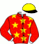 casaque portée par Ploquin Pau. Ph. jockey du cheval de course JAMINA JOSSELYN, information pmu ZETURF