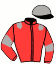 casaque portée par Rochard B. jockey du cheval de course HIGOR DAIRPET, information pmu ZETURF casaque portée par Rochard B. jockey du cheval de course HIGOR DAIRPET, information pmu ZETURF