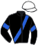 casaque portée par Goop Bjo. jockey du cheval de course MULBERRY, information pmu ZETURF