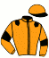 casaque portée par Martin G. jockey du cheval de course LABEL SPEED, information pmu ZETURF