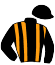 casaque portée par Rochard B. jockey du cheval de course LEANDRO DE MER, information pmu ZETURF
