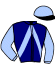 casaque portée par Ploquin Pau. Ph. jockey du cheval de course L'ARC EN CIEL, information pmu ZETURF