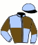 casaque portée par Abrivard M. jockey du cheval de course JE REVE DU BOIS, information pmu ZETURF