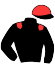 casaque portée par Ploquin Pau. Ph. jockey du cheval de course JASMIN PRECIEUX, information pmu ZETURF