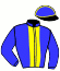 casaque portée par Martin G. jockey du cheval de course INFLUENCE, information pmu ZETURF