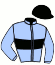 casaque portée par Lelievre Mlle C. jockey du cheval de course KAMELIA DE JEAN, information pmu ZETURF