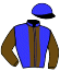 casaque portée par Le Brun F. jockey du cheval de course KATARINA D'AMOUR, information pmu ZETURF