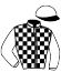 casaque portée par Garandeau A. jockey du cheval de course INDIANA D'ESPACE, information pmu ZETURF