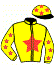 casaque portée par Desmigneux F. jockey du cheval de course LARA DU LERRE, information pmu ZETURF