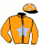 casaque portée par Desmottes A. jockey du cheval de course JASON GINYU, information pmu ZETURF casaque portée par Desmottes A. jockey du cheval de course JASON GINYU, information pmu ZETURF