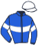 casaque portée par Parys C. jockey du cheval de course HEADING REFERENCE, information pmu ZETURF