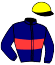 casaque portée par Mottier M. jockey du cheval de course JIROBELLO, information pmu ZETURF