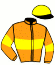 casaque portée par Lamy A. jockey du cheval de course KENTUCKY IDEAL, information pmu ZETURF casaque portée par Lamy A. jockey du cheval de course KENTUCKY IDEAL, information pmu ZETURF