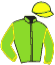 casaque portée par Gelormini G. jockey du cheval de course GAULTHERIA, information pmu ZETURF
