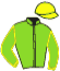 casaque portée par Gelormini G. jockey du cheval de course GAULTHERIA, information pmu ZETURF casaque portée par Gelormini G. jockey du cheval de course GAULTHERIA, information pmu ZETURF