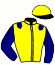 casaque portée par Abrivard L. Cl. jockey du cheval de course KAHIA DE LA CROIX, information pmu ZETURF