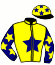 casaque portée par Duvaldestin Theo jockey du cheval de course LEONARDO VICI, information pmu ZETURF