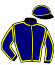 casaque portée par Lugauer C. jockey du cheval de course FERRARI SISU, information pmu ZETURF