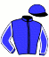 casaque portée par Ploquin Pau. Ph. jockey du cheval de course L'AS TEJY, information pmu ZETURF