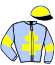 casaque portée par Rochard B. jockey du cheval de course JULIA D'AMOUR, information pmu ZETURF