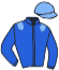 casaque portée par Raffestin J. jockey du cheval de course FAUCON DE L'ALBA, information pmu ZETURF casaque portée par Raffestin J. jockey du cheval de course FAUCON DE L'ALBA, information pmu ZETURF