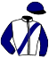 casaque portée par Lebourgeois Y. jockey du cheval de course INDIC, information pmu ZETURF casaque portée par Lebourgeois Y. jockey du cheval de course INDIC, information pmu ZETURF