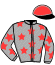 casaque portée par Desmottes A. jockey du cheval de course LAKARA, information pmu ZETURF casaque portée par Desmottes A. jockey du cheval de course LAKARA, information pmu ZETURF