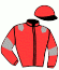casaque portée par Pou Pou G. A. jockey du cheval de course KARMEN DE MONTCEAU, information pmu ZETURF casaque portée par Pou Pou G. A. jockey du cheval de course KARMEN DE MONTCEAU, information pmu ZETURF