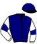 casaque portée par Ploquin Pau. Ph. jockey du cheval de course FALCO DES ROCHERS, information pmu ZETURF casaque portée par Ploquin Pau. Ph. jockey du cheval de course FALCO DES ROCHERS, information pmu ZETURF
