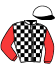 casaque portée par Verva Pie. Y. jockey du cheval de course KIMBERLY DU LOISIR, information pmu ZETURF