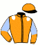 casaque portée par Peltier T. jockey du cheval de course JAMAICA, information pmu ZETURF casaque portée par Peltier T. jockey du cheval de course JAMAICA, information pmu ZETURF