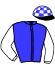 casaque portée par Rochard B. jockey du cheval de course KATNISS MORMOULIN, information pmu ZETURF