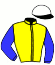 casaque portée par Jary Mlle C. jockey du cheval de course HOLLYWOOD STONE, information pmu ZETURF