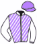 casaque portée par Croisic Mme Est. jockey du cheval de course JOKER DU HAMEL, information pmu ZETURF