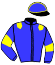 casaque portée par Rochard B. jockey du cheval de course KLASS DU THEIL, information pmu ZETURF