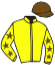 casaque portée par Raffin E. jockey du cheval de course KERIDA DE MARZY, information pmu ZETURF
